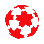 Кубок Императора Японии