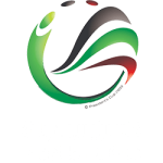 ОАЭ. Кубок Президента