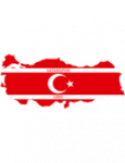Vatanspor